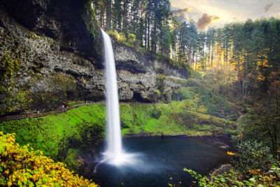 Silver Falls State Park Camping