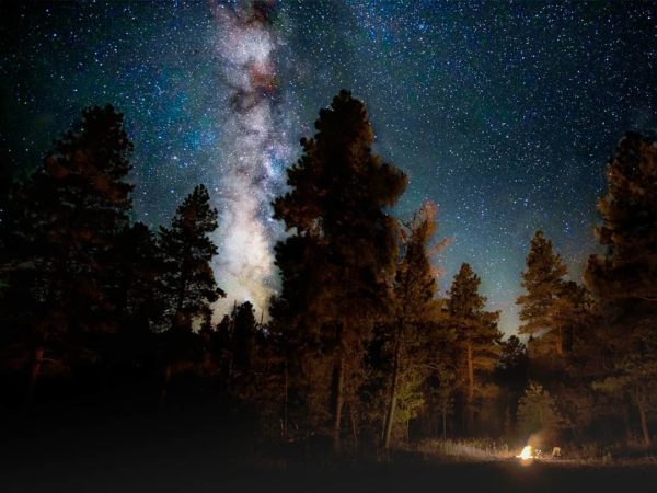 Pine Flat Campground